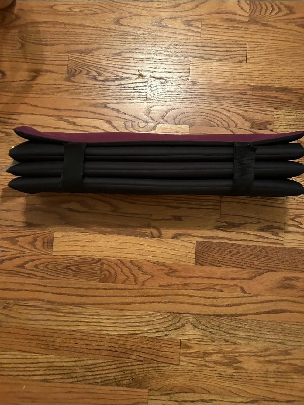 Eddie Bauer Roll Up Packable Foldable Black & Maroon Dog Bed Great for Traveling